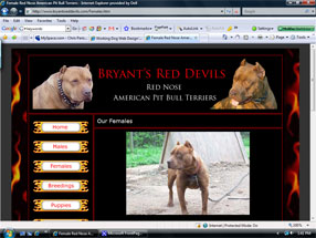Bryant's Red Devils
