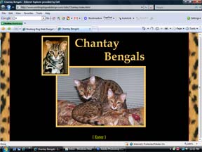 Chantay Bengals