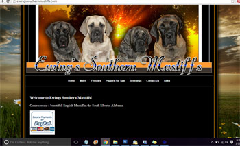 Ewing's Southern Mastiffs
